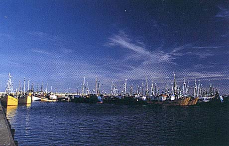 Port we Władysławowie