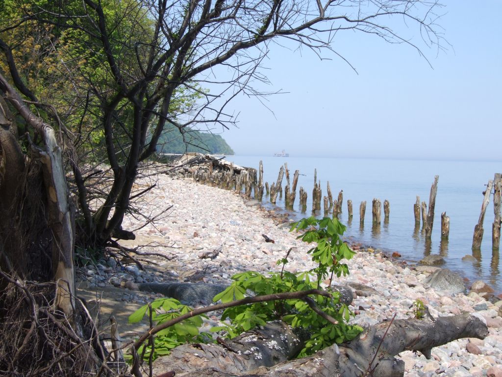 Oksywie maj 2015 - kamienisty brzeg, las i morze