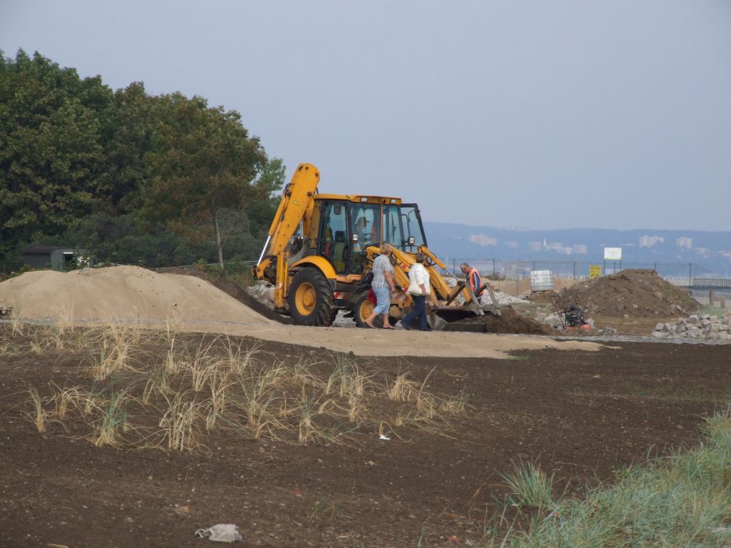 Westerplatte zagospodarowanie terenu sierpień 2015 - nasadzenia roślinności