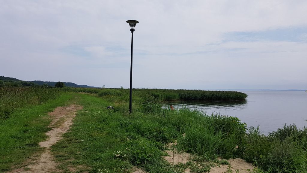 Brzeg porośnięty roślinnością wodną oraz latarnia oświetleniowa