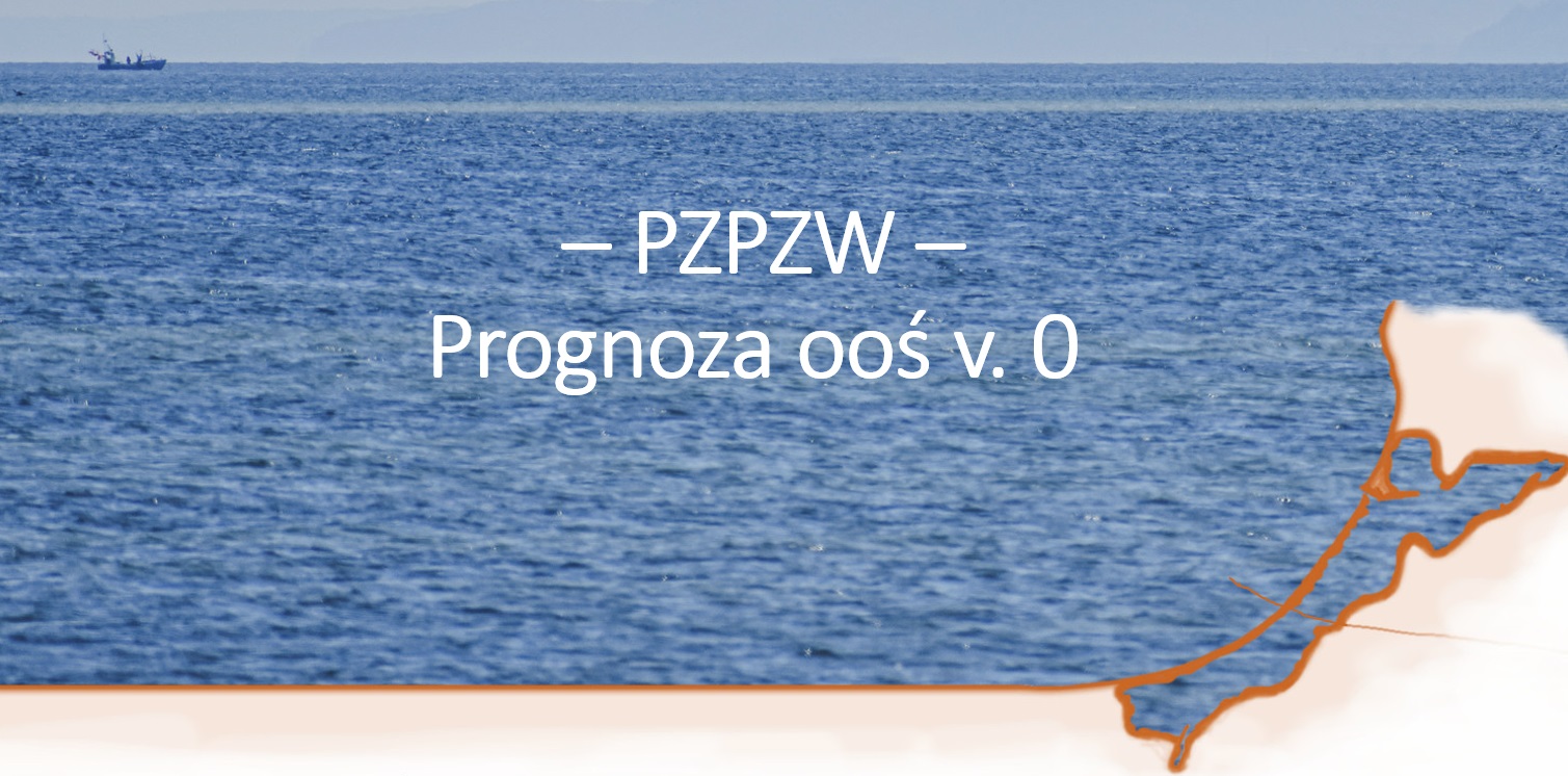 Konsultacje wstępnego projektu planu zagospodarowania przestrzennego Zalewu Wiślanego