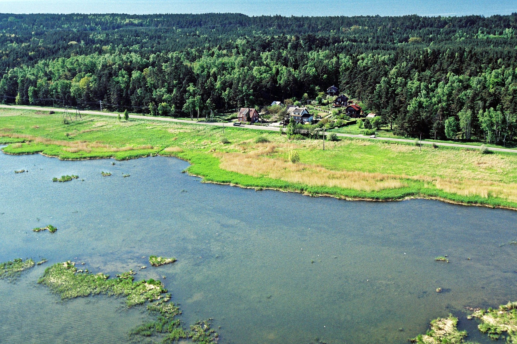 Zdjęcie z lotu ptaka zrobione nad wodami Zalewu Wiślanego, ukazujące szuwar, drogę, zabudowania oraz lasy Mierzei Wiślanej.