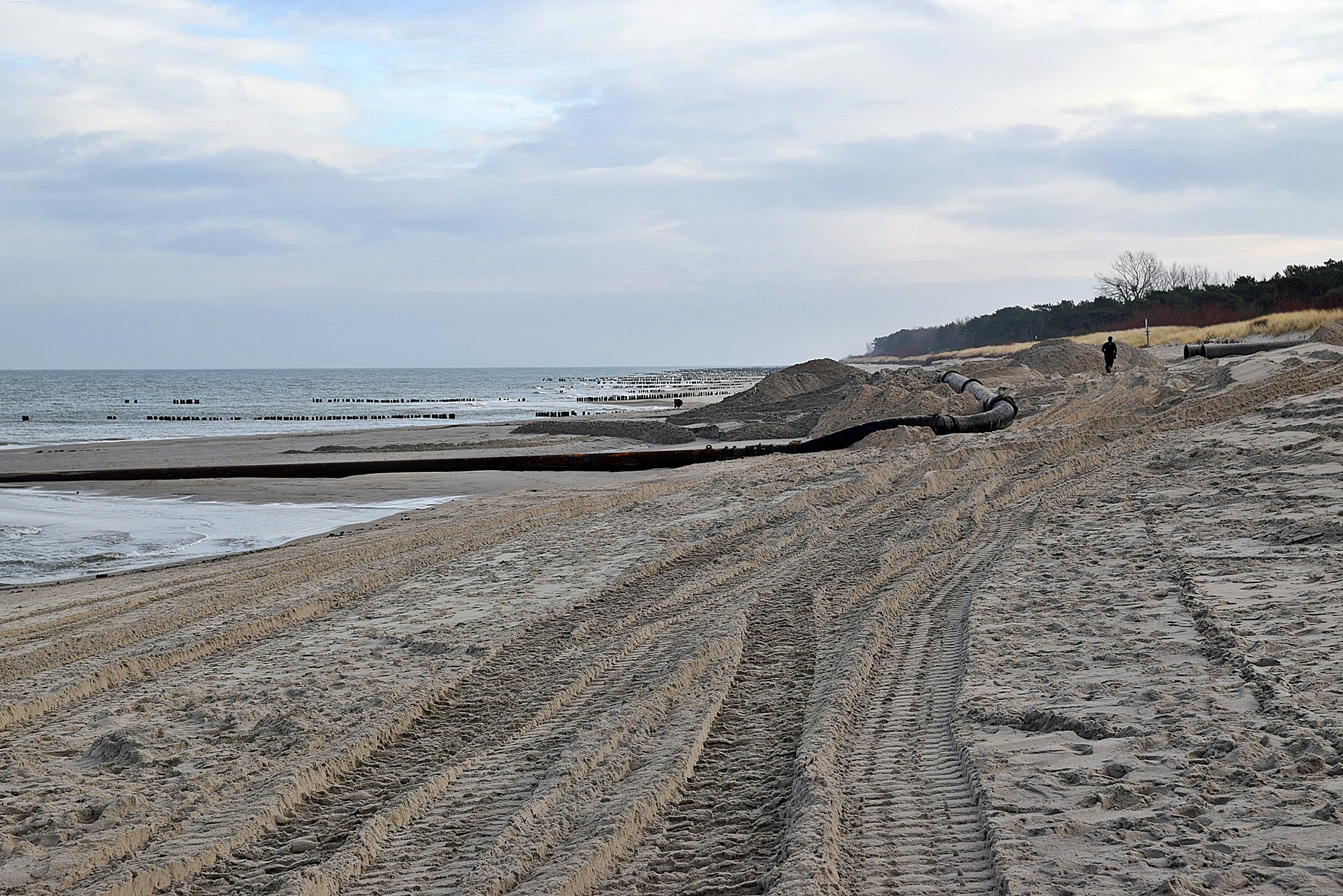 Zdjęcie z plaży, na której trwa refulacja. Widoczne hałdy piachu, gruba rura, którą dostarczany jest piasek z dna morskiego oraz rzędy drewnianych pali, tworzących ostrogi.