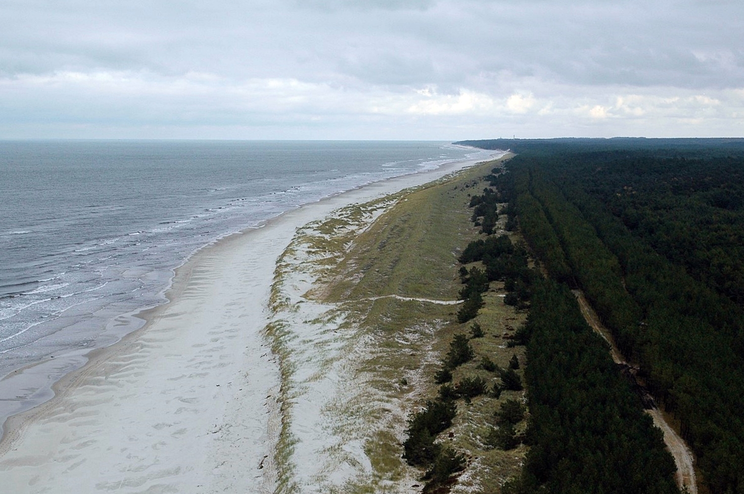 Zdjęcie brzegu morskiego z lotu ptaka, obrazujące plażę, wały wydm białych, szarych oraz las nadmorski.