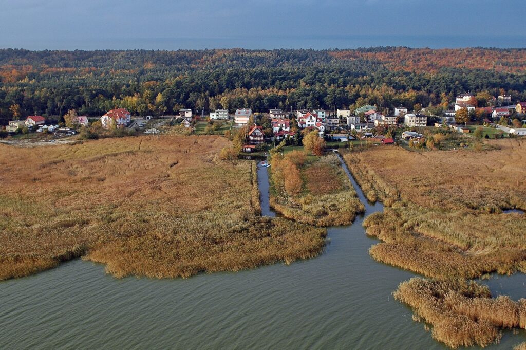 Zdjęcie z lotu ptaka ukazujące potężny szuwar oraz zabudowania na brzegu Zalewu Wiślanego na Mierzei Wiślanej.