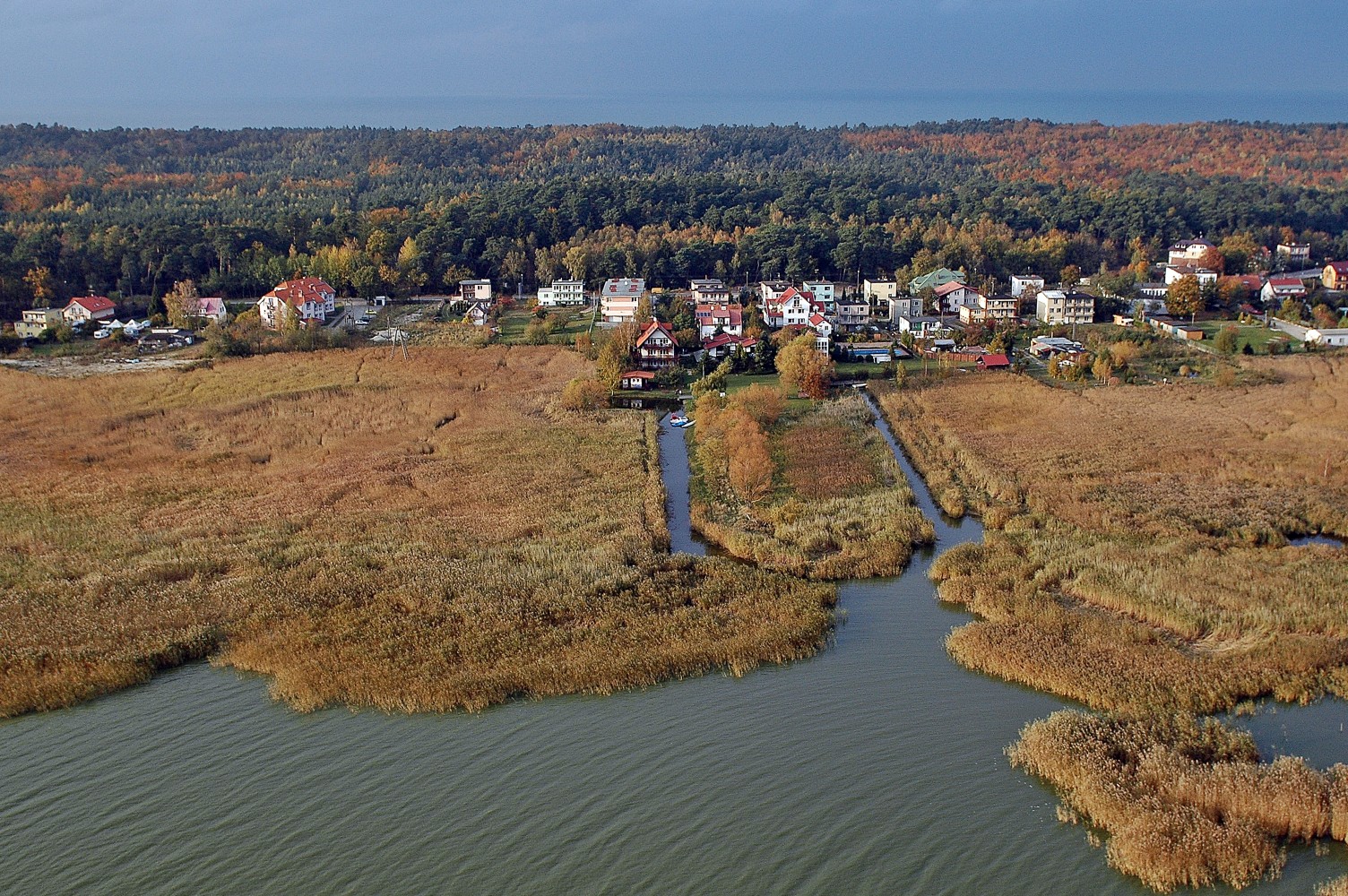 Zdjęcie z lotu ptaka ukazujące potężny szuwar oraz zabudowania na brzegu Zalewu Wiślanego na Mierzei Wiślanej.