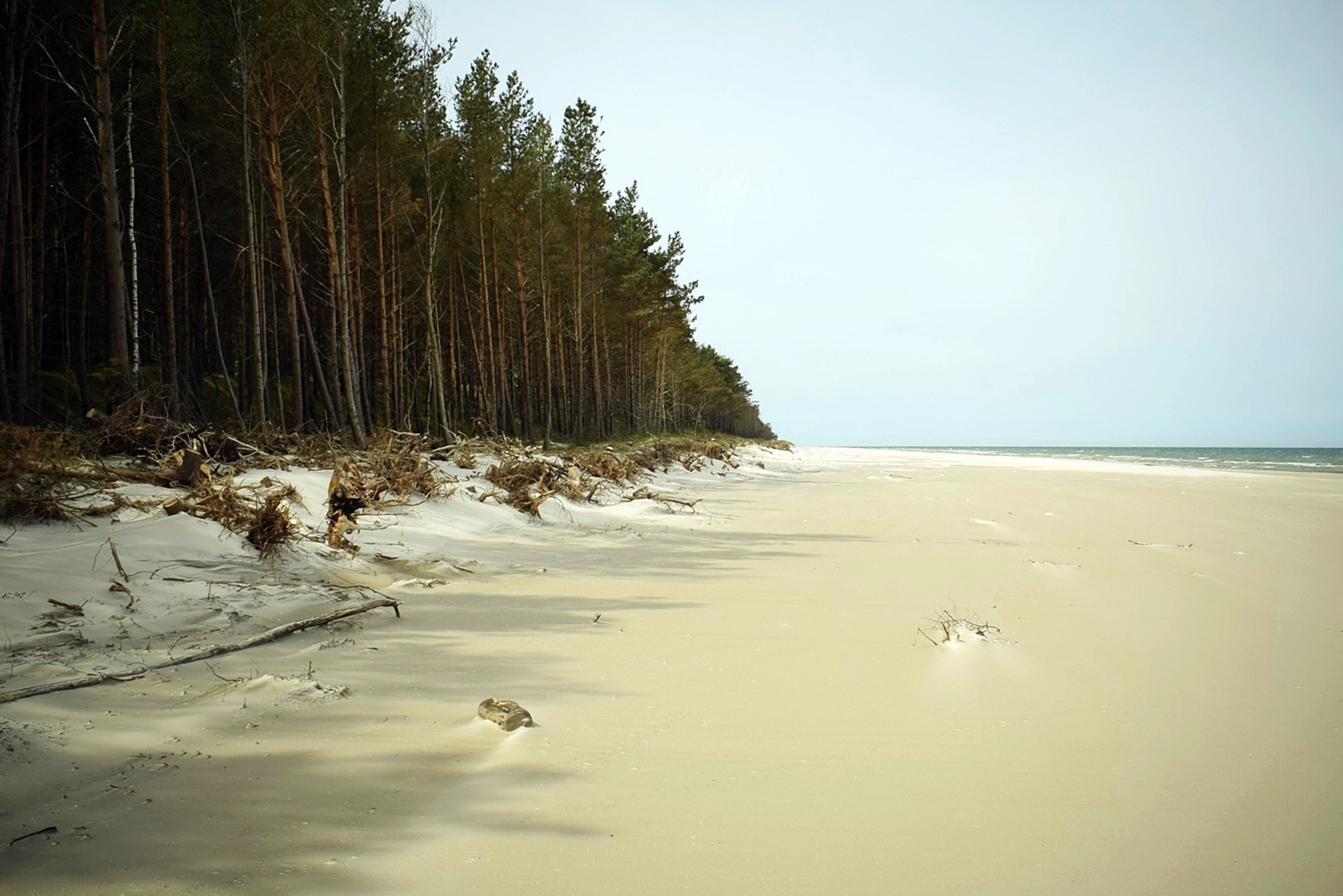 Zdjęcie płaskiej plaży po sztormie.