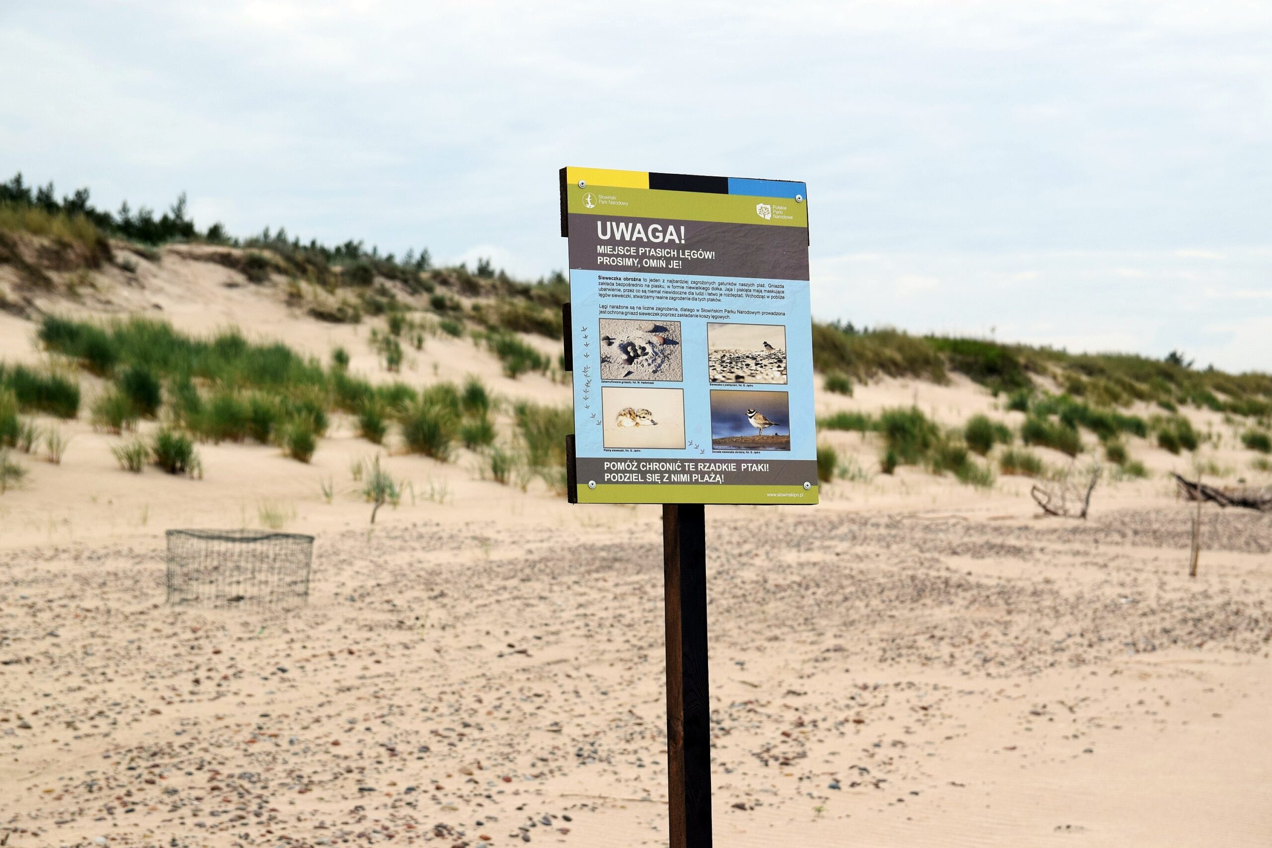 Zdjęcie tablicy umieszczonej na plaży, informującej o gnieździe sieweczki obrożnej.