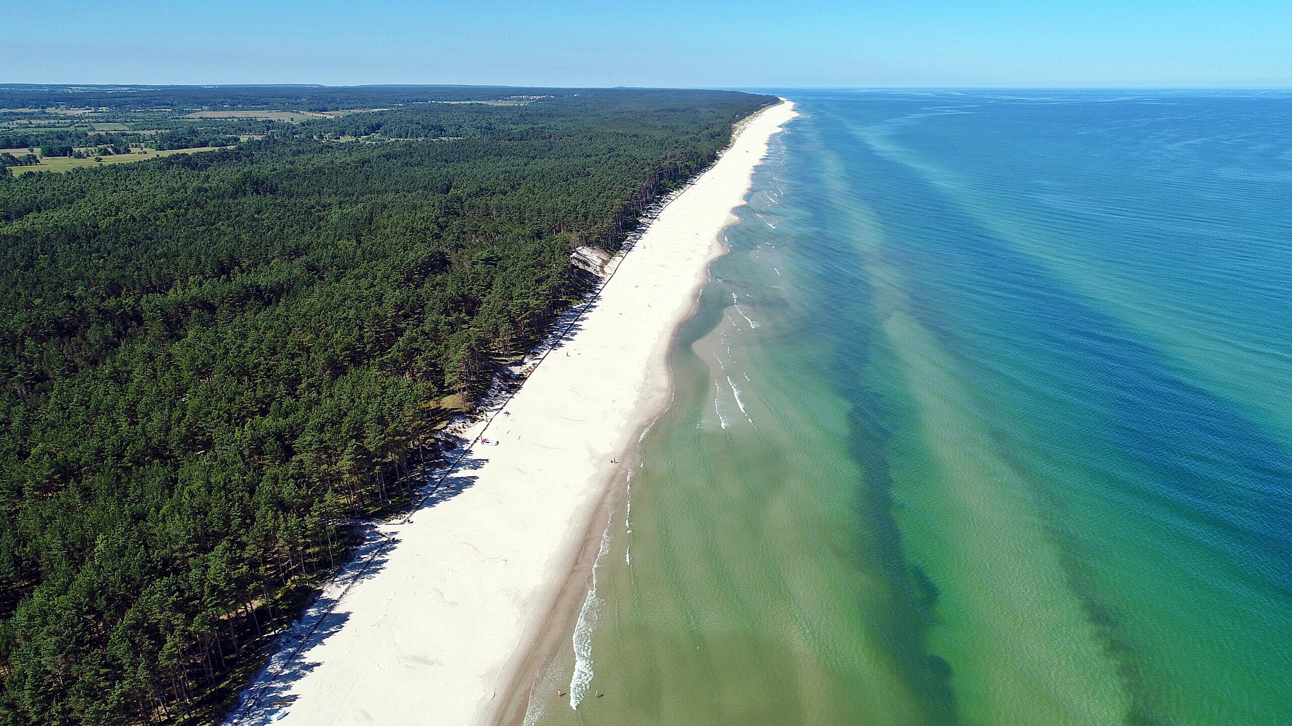 Urząd Morski w Gdyni  po raz drugi poszukuje wolontariuszy do współpracy przy edukowaniu w zakresie ochrony wydm i lasów nadmorskich