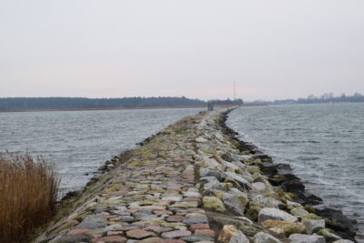 Zawiadomienie o trzecim spotkaniu konsultacyjnym w ramach aktualizacji projektu planu ochrony obszaru Natura 2000 Ostoja w Ujściu Wisły PLH220044 oraz obszaru Natura 2000 Ujście Wisły PLB220004