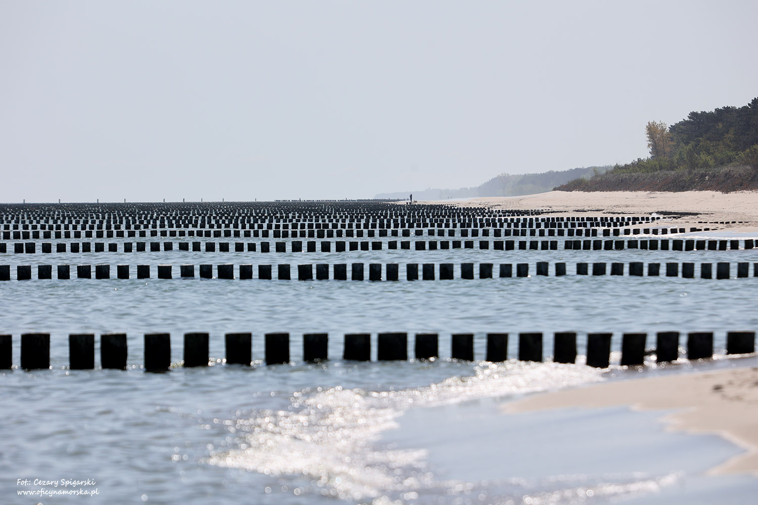 135 nowych ostróg, monitoring hydrodynamicznym i nowy sprzęt w służbie ochrony wybrzeża – konferencja podsumowująca projekt Urzędu Morskiego w Gdyni dedykowany Półwyspowi Helskiemu 