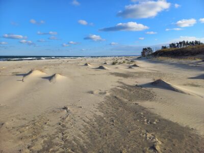 IV edycja letniego wolontariatu w zakresie ochrony brzegu morskiego  – plaża, wydmy, las