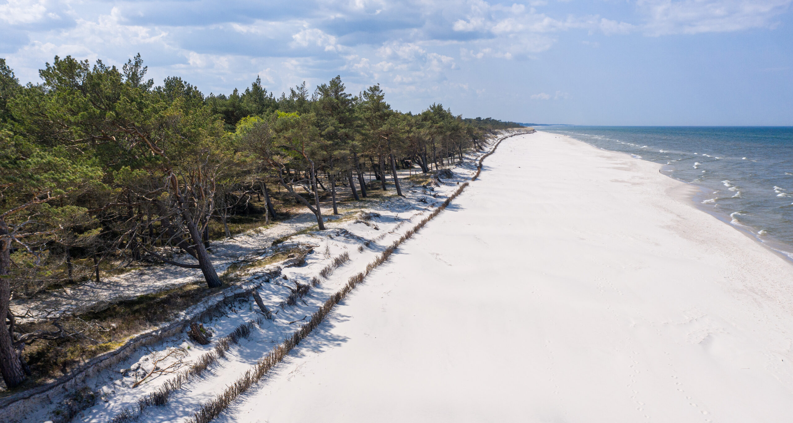 IV edycja letniego wolontariatu w zakresie ochrony brzegu morskiego – plaża, wydmy, las