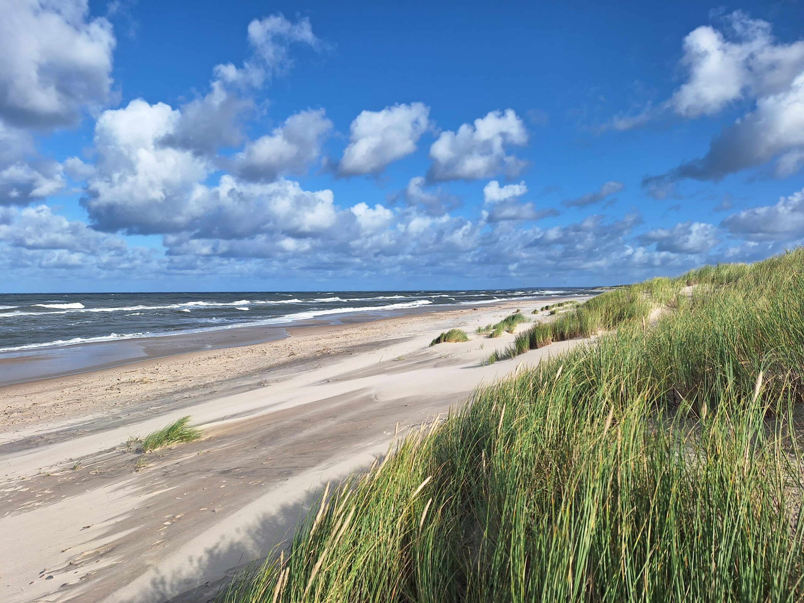 Bezpłatne warsztaty edukacyjne
