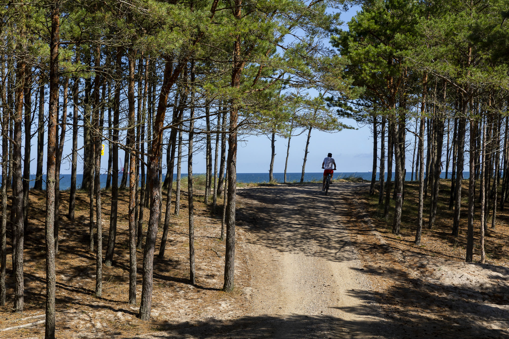 EuroVelo w gminie Choczewo z widokiem na Bałtyk
