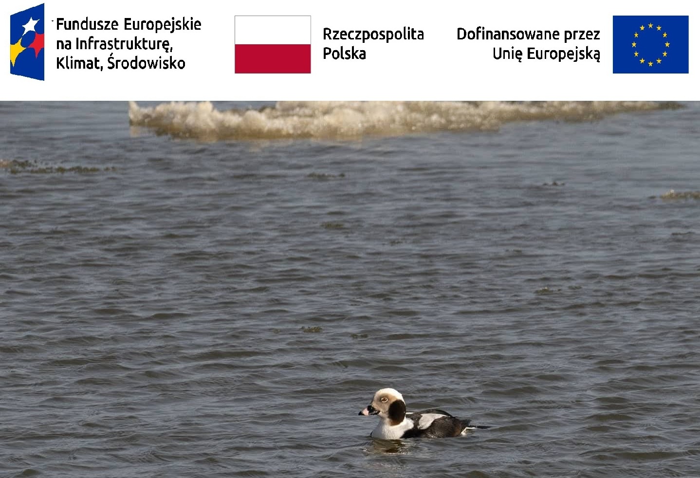 NATURA 2000 – Przybrzeżne wody Bałtyku. Urząd Morski w Gdyni podpisał umowę na opracowanie projektu planu ochrony dla tego obszaru